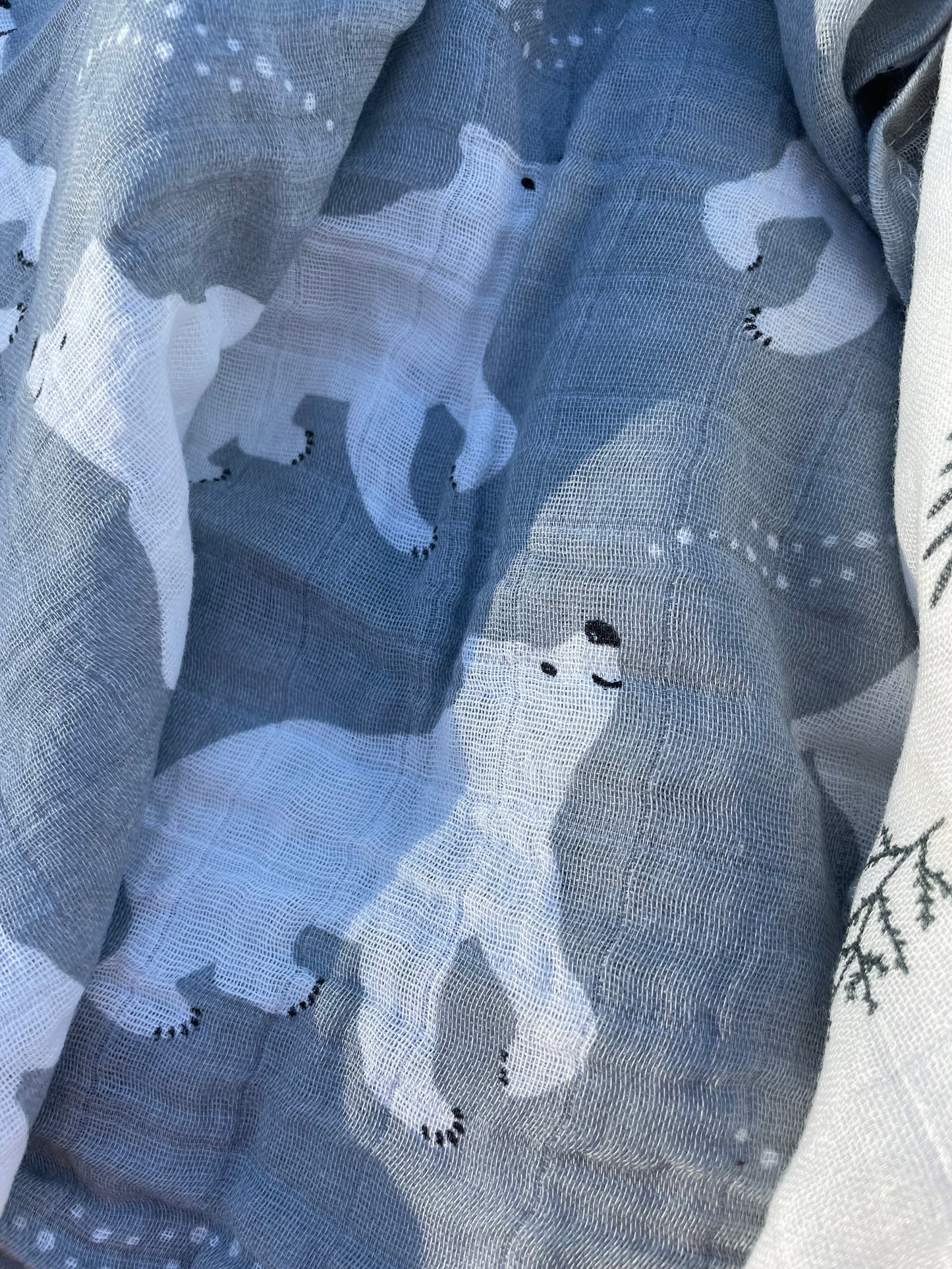 Muslin cloth (Pattern)